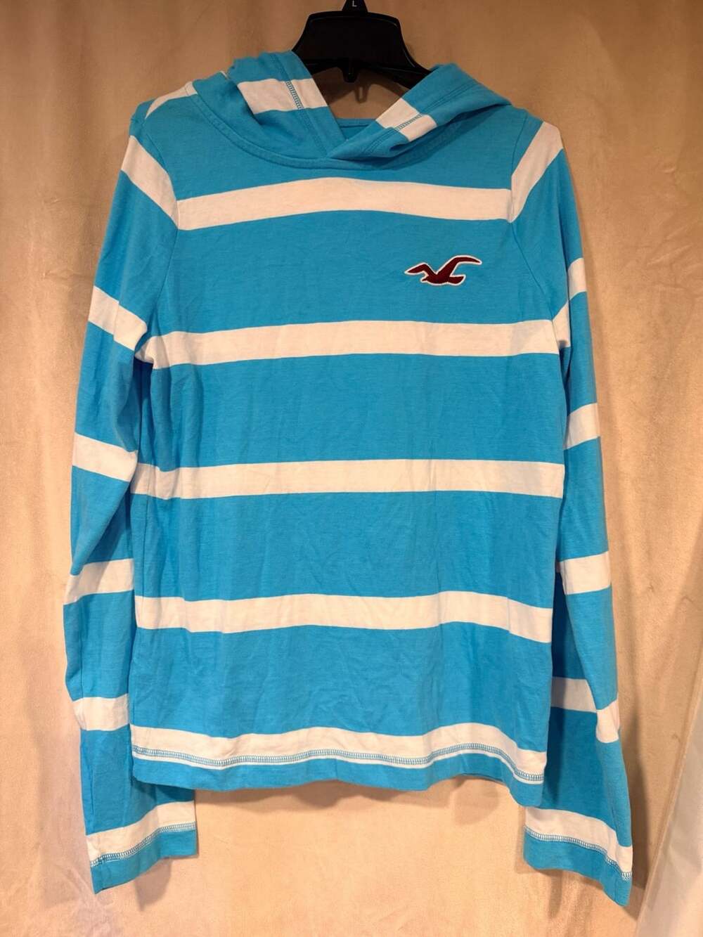 Hollister Striped Long Sleeve Hoodie Size L Blue White